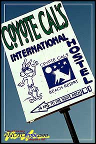 Coyote Cals Sign.jpg (30101 bytes)