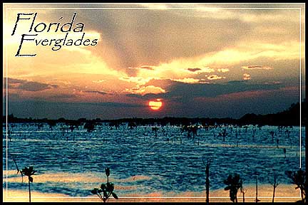 GH Everglades John 6.jpg (38226 bytes)