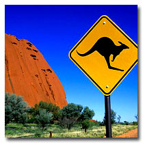 Kangaroos, Ayers Rock & Australia